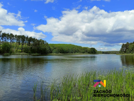 Komfortowe mieszkanie w Kęszycy Leśnej